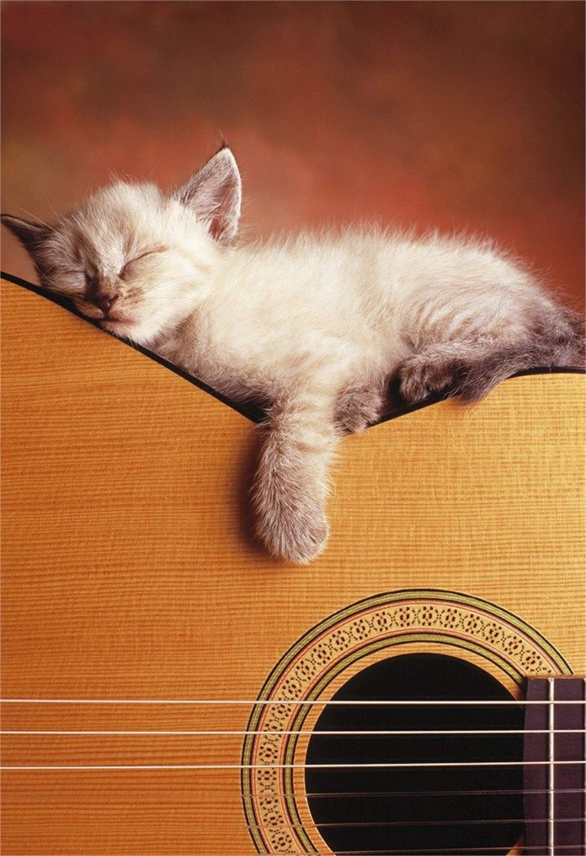educa-15510-meine-gitarre-puzzle-500-teile-mit-gitarren-motiv image 1