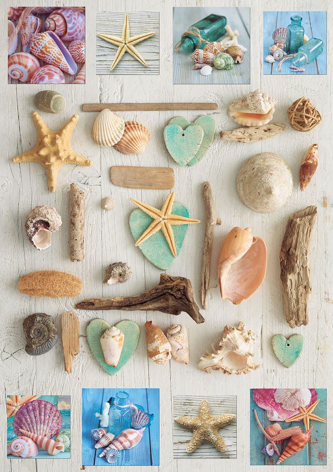 educa-17658-muschel-collage-puzzle-1000-teile-68x48-cm image 2