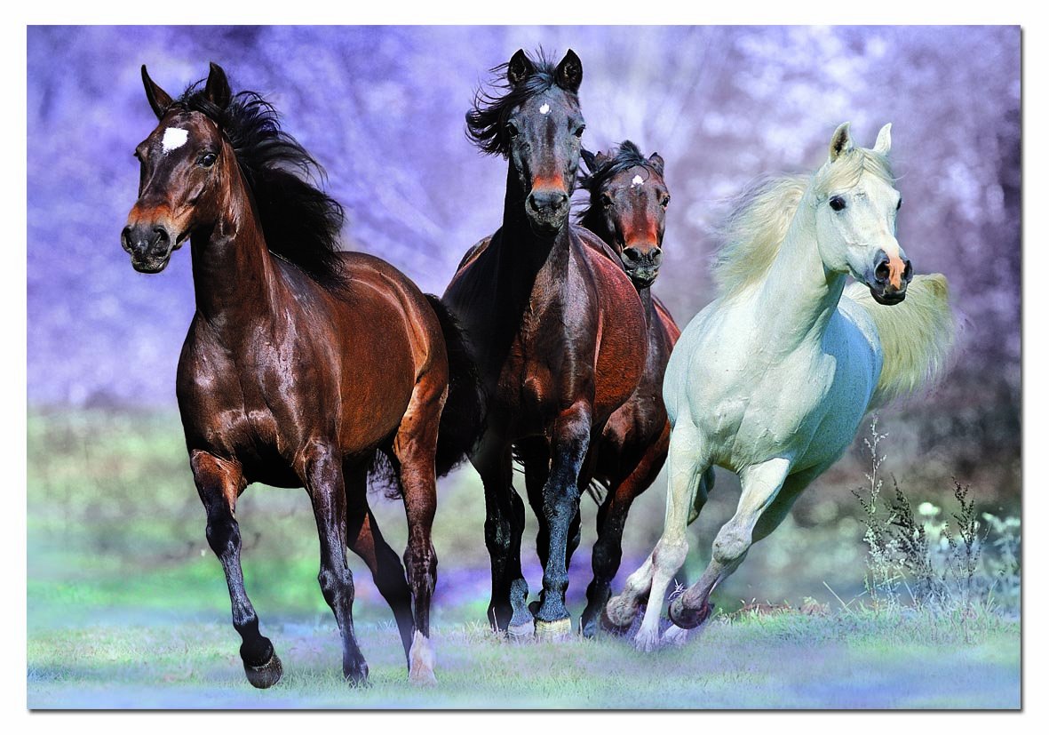 educa-14809-im-vollen-galopp-1000-teile-puzzle-pferde image 2