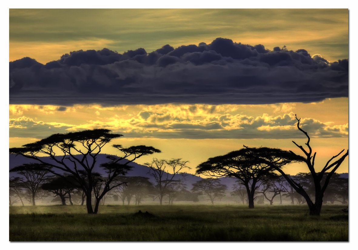 educa-15161-afrikanische-landschaft-puzzle-1000-teile image 1
