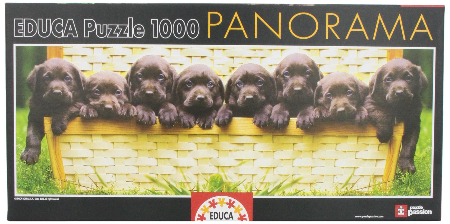educa-panorama-welpen-puzzle-500-teile-hunde-motiv image 2