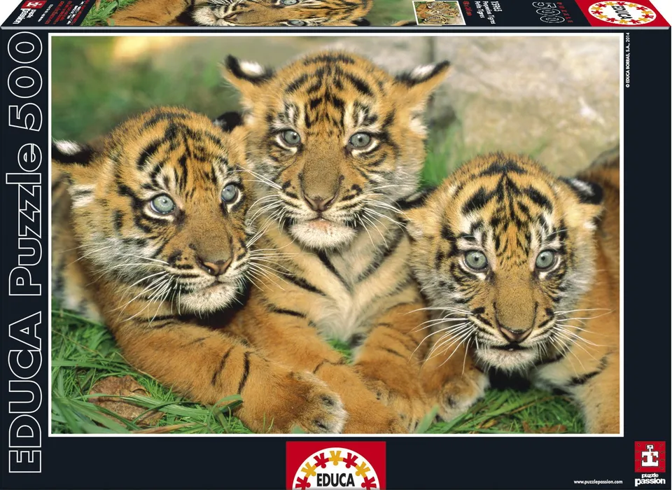 educa-tigerbabies-500-teile-puzzle-tiger-15965 image 1