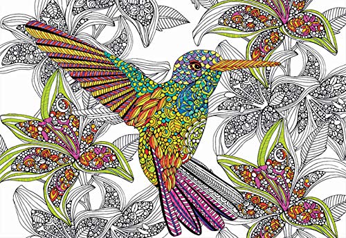 educa-17083-hummingbird-colouring-puzzle-300-teile image 4