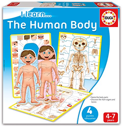 educa-i-learn-16421-no-16420-k-rper-lernpuzzle-organe image 2