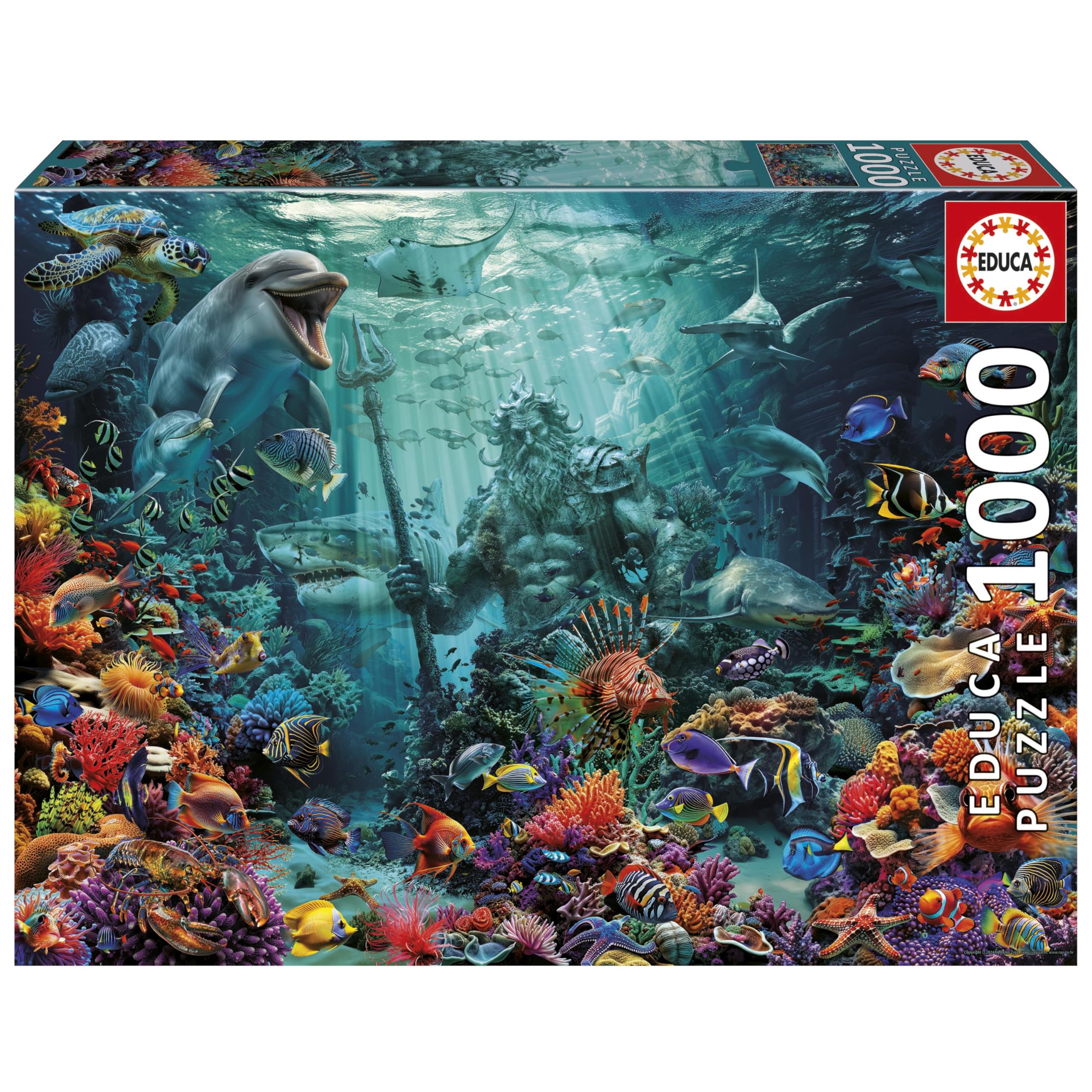 educa-muschelcollage-1000-teile-puzzle-68x48-cm-ab-14-jahren image 6