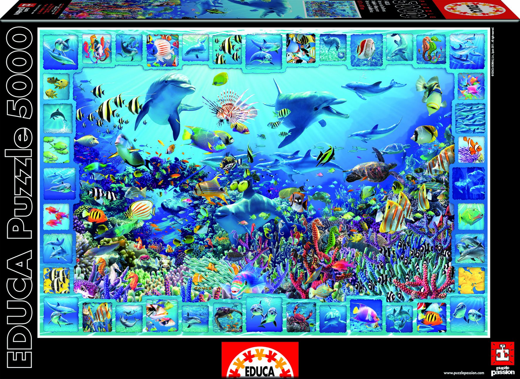 educa-14828-k-nigreich-der-delfine-puzzle-5000-teile-meer image 1