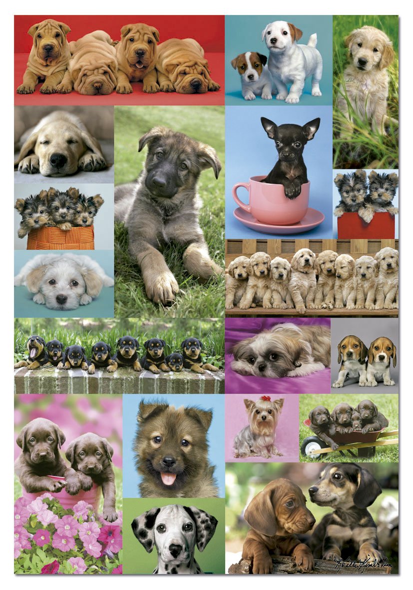educa-14441-welpencollage-puzzle-1000-teile-hunde-68x48 image 2