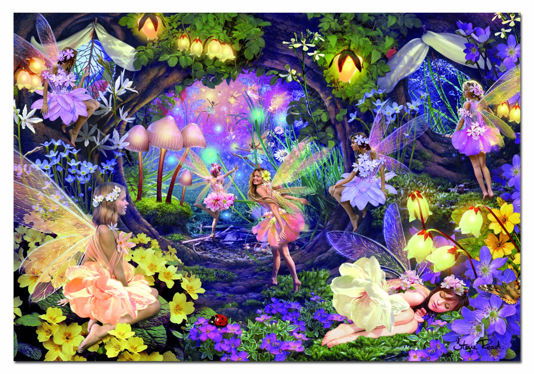 educa-14110-feenh-hle-puzzle-1000-teile-fantasy-motiv image 2