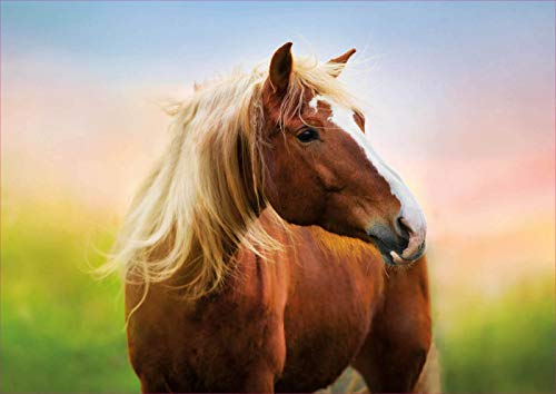 educa-pferd-im-sonnenaufgang-puzzle-500-teile-tiermotiv image 5