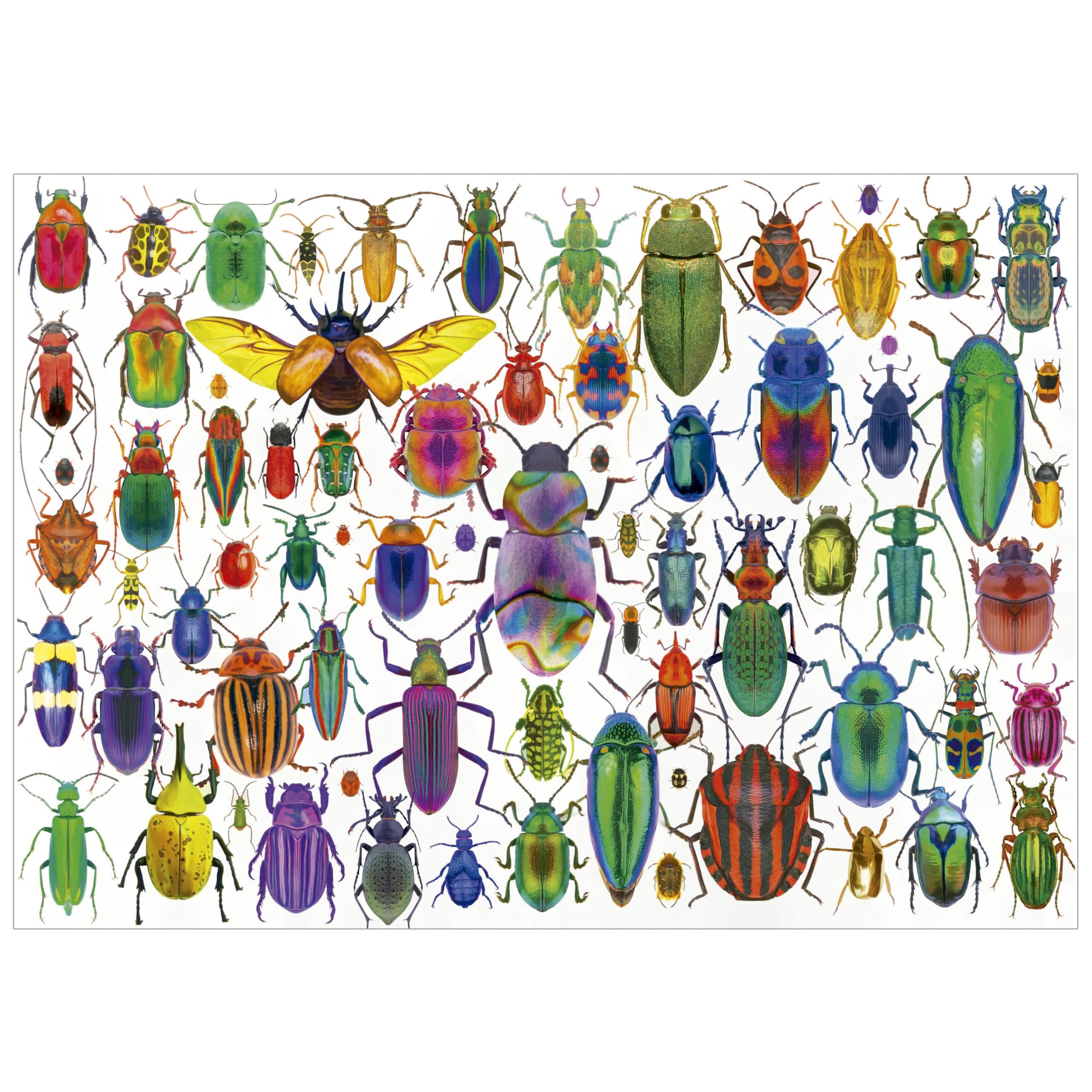 educa-k-fer-puzzle-500-teile-48x34-cm-mit-kleber image 3