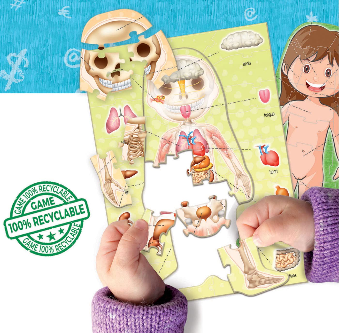 educa-18842-learning-is-fun-k-rper-lernspiel-ab-4-jahren image 2