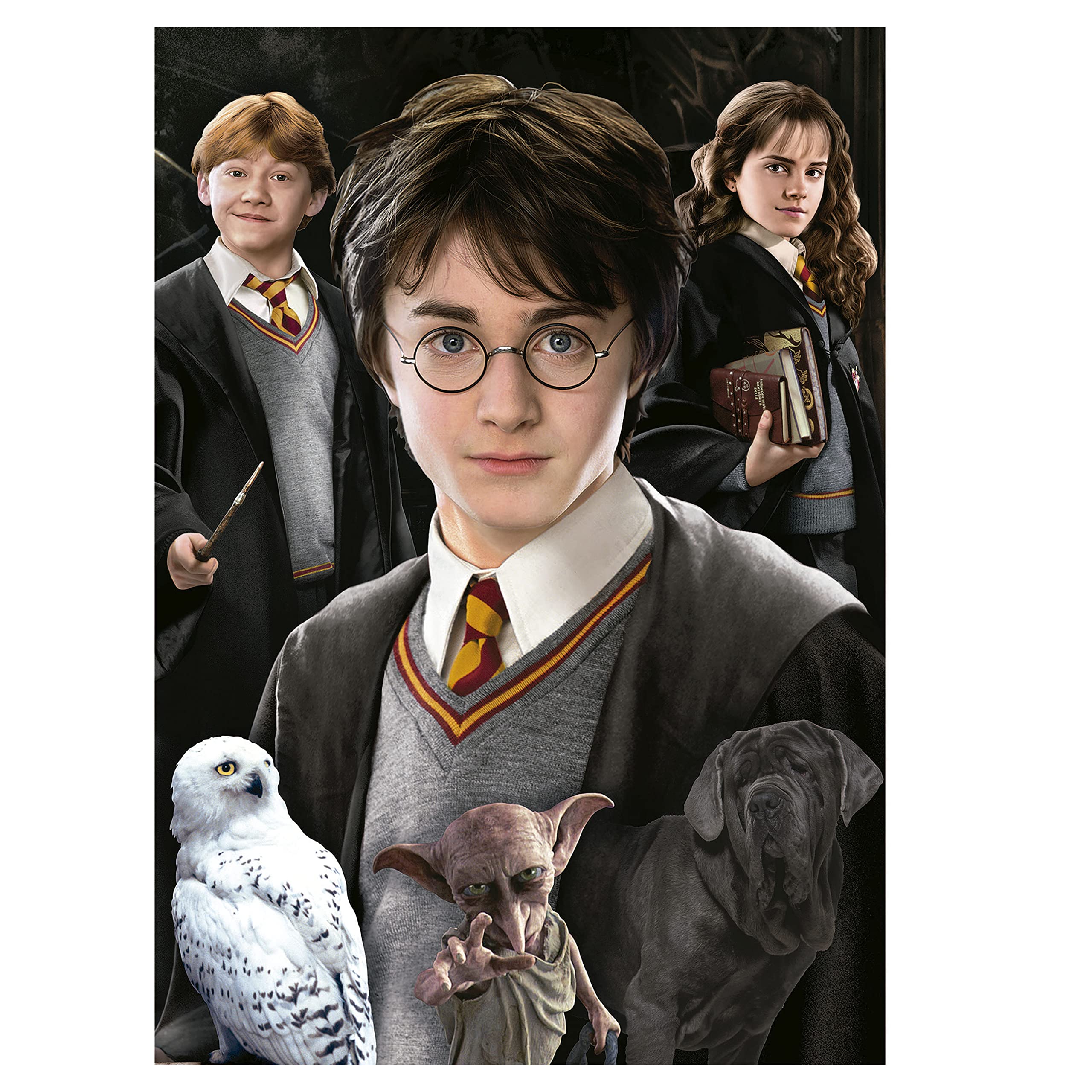 educa-19490-harry-potter-miniature-puzzle-1000-teile-ab-14 image 2