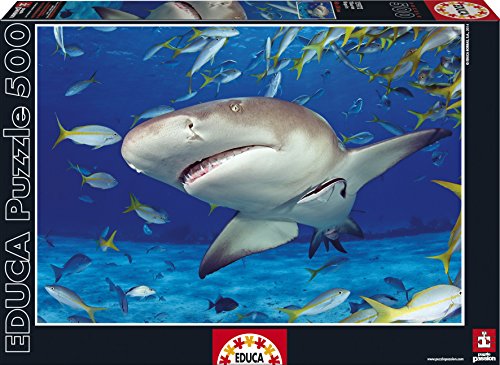 educa-hai-500-teile-puzzle-meerestiere-15972 image 3