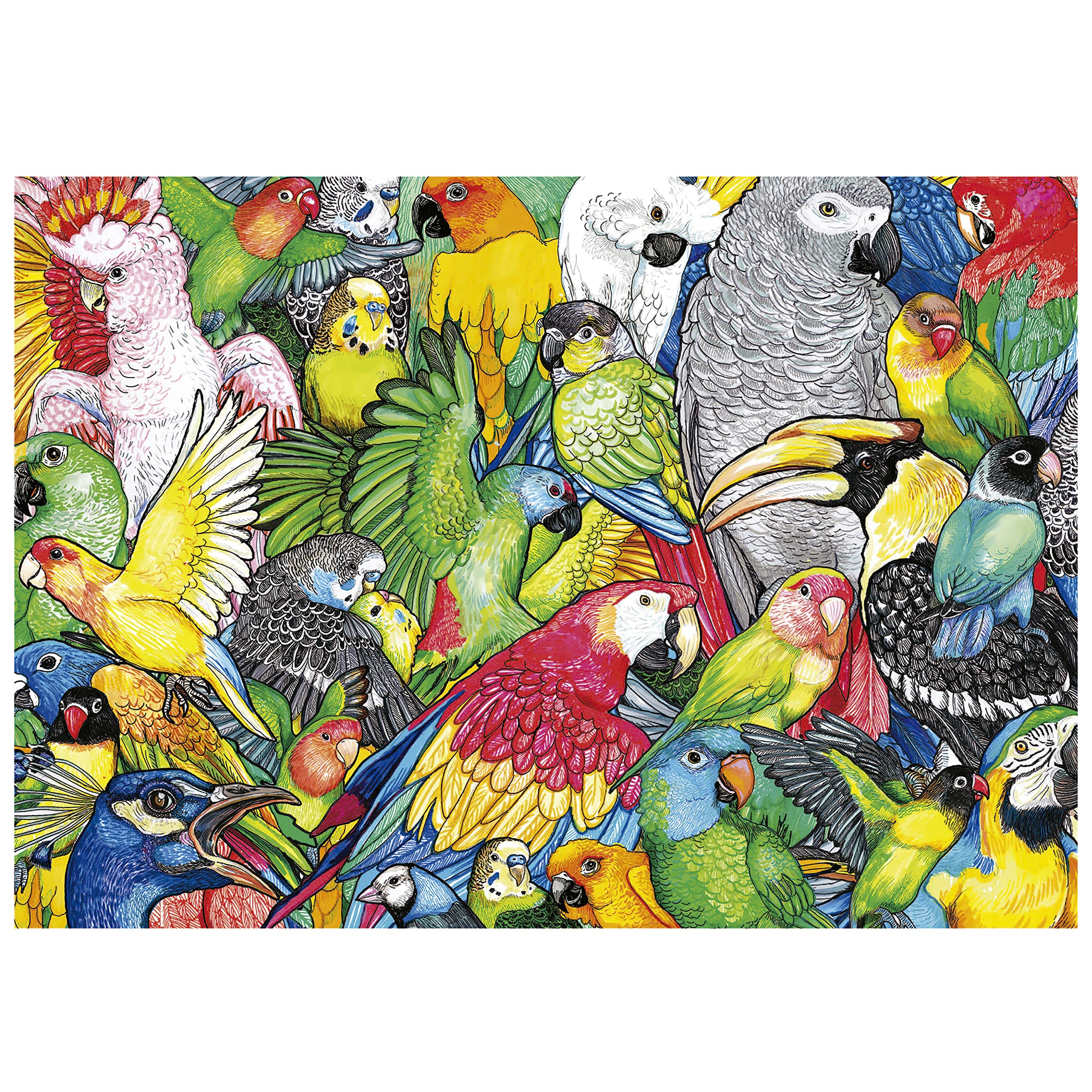 educa-papageien-19547-puzzle-500-teile-tiermotiv image 2