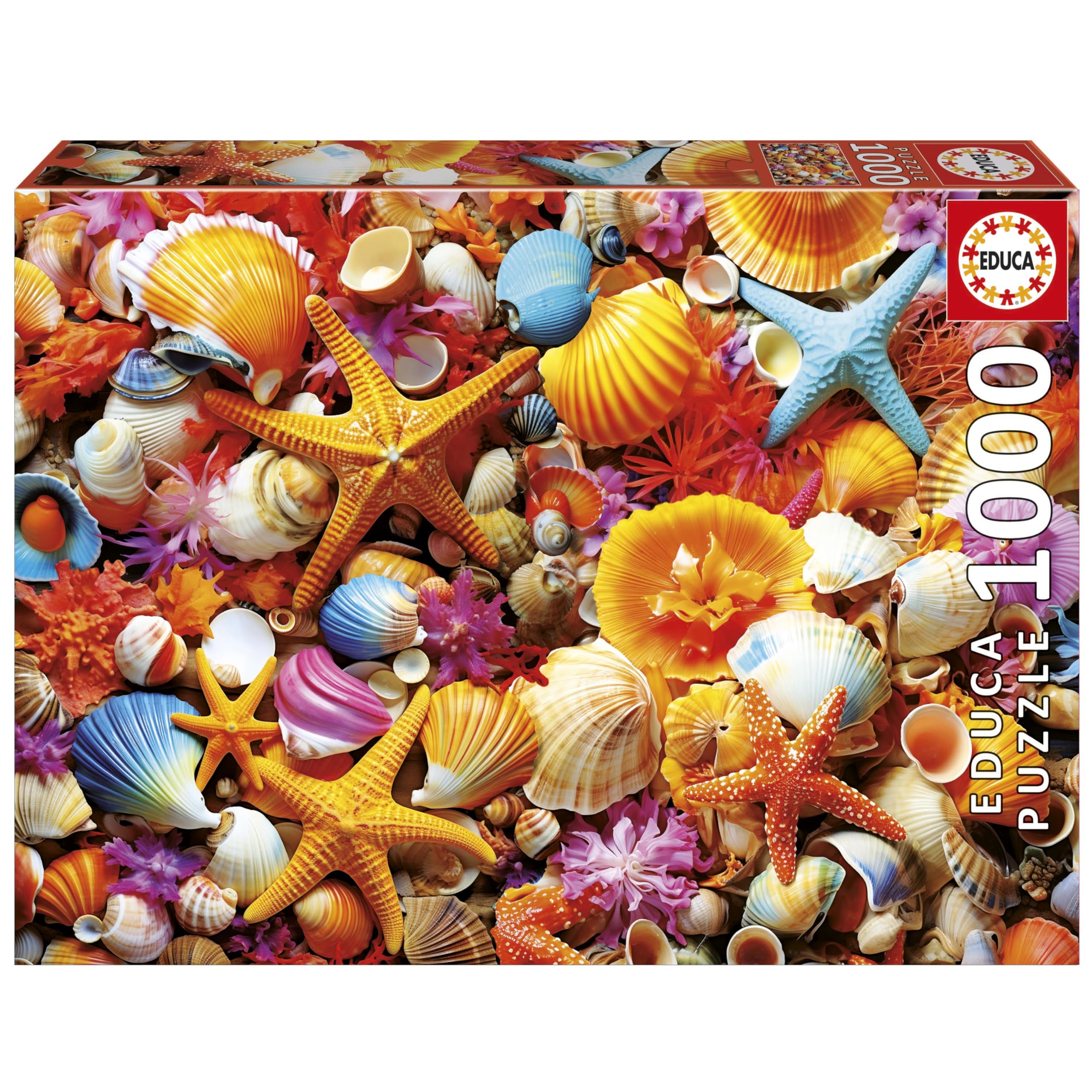 educa-muschelcollage-1000-teile-puzzle-68x48-cm-ab-14-jahren image 1