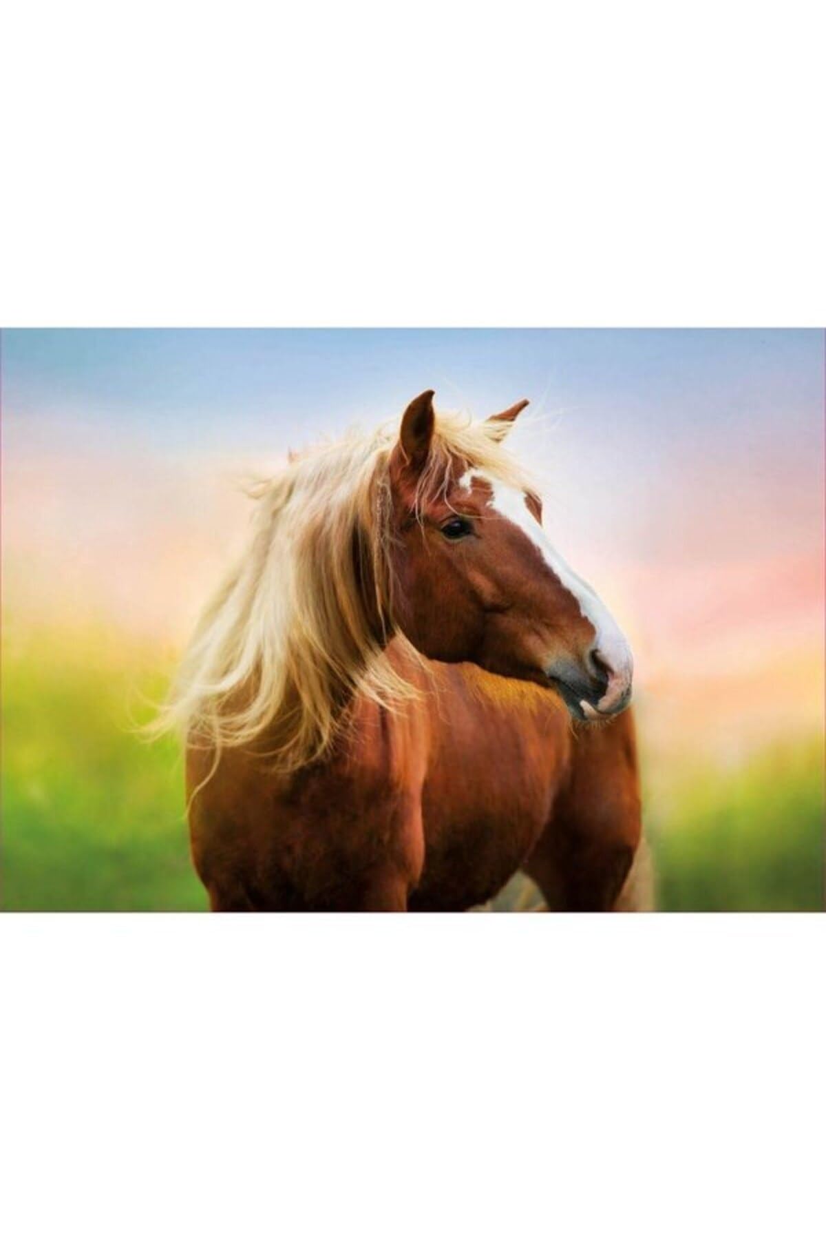 educa-pferd-im-sonnenaufgang-puzzle-500-teile-tiermotiv image 3