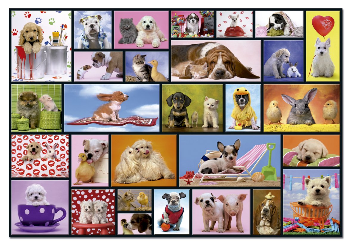 educa-15518-tierfreundschaften-puzzle-1000-teile-tiere image 2