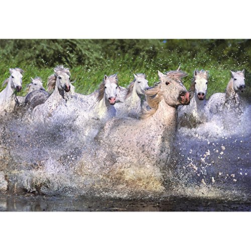 educa-15988-weisse-pferde-camargue-puzzle-1000-teile image 3