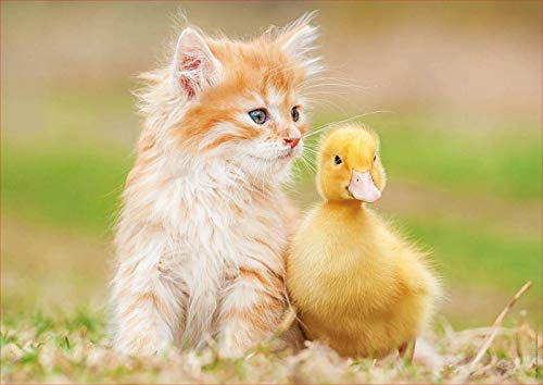 educa-18467-niedliche-freunde-puzzle-500-teile-katze image 7