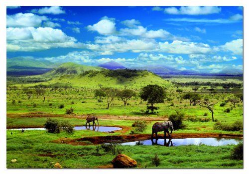 educa-tsavo-nationalpark-puzzle-500-teile-safari image 4