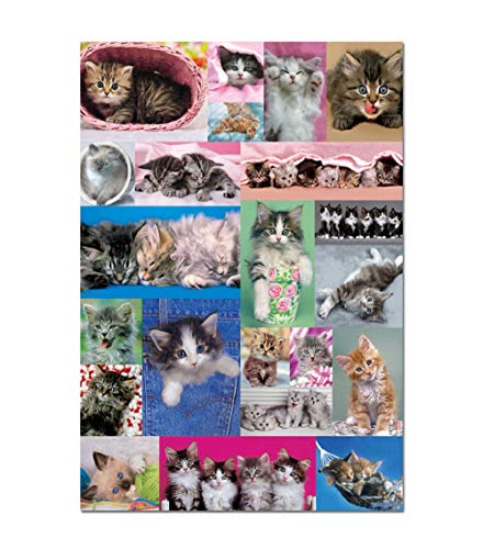 educa-k-tzchen-collage-1000-teile-puzzle-katzenmotiv image 2