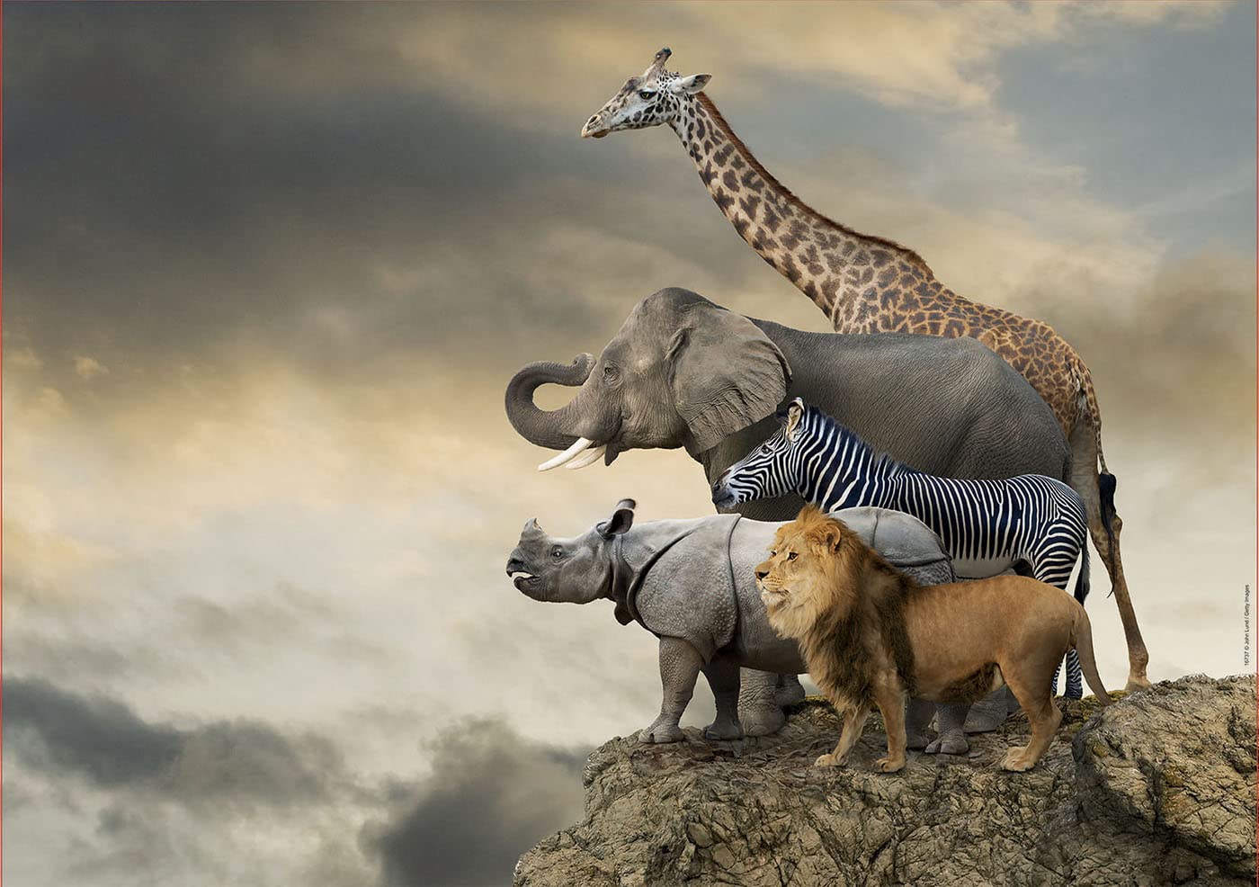 educa-animals-cliff-16737-puzzle-500-teile-48x34 image 2
