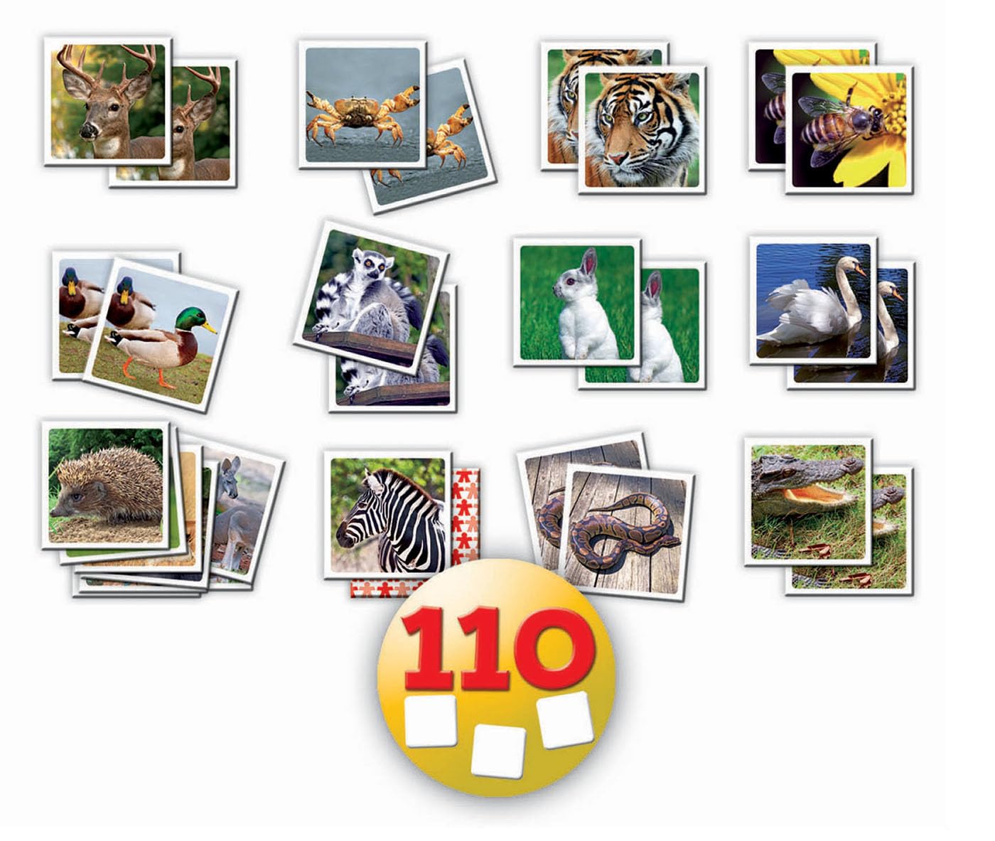 educa-14783-identic-natura-memory-spiel-ab-4-jahren-natur image 2