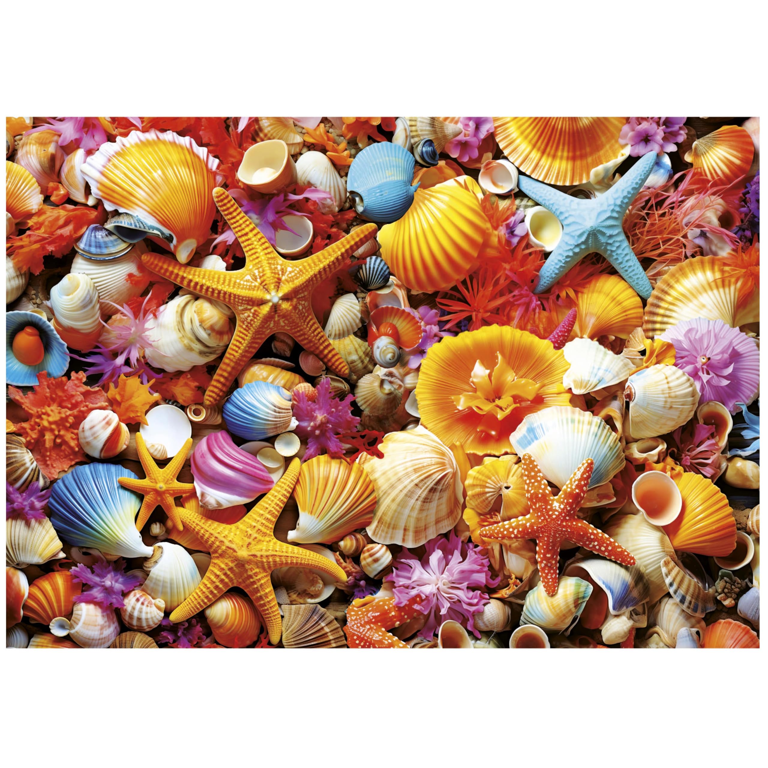 educa-muschelcollage-1000-teile-puzzle-68x48-cm-ab-14-jahren image 2