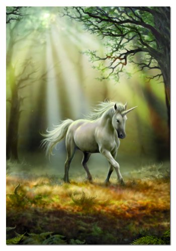educa-einhorn-14436-1000-teile-puzzle-anne-stokes image 4