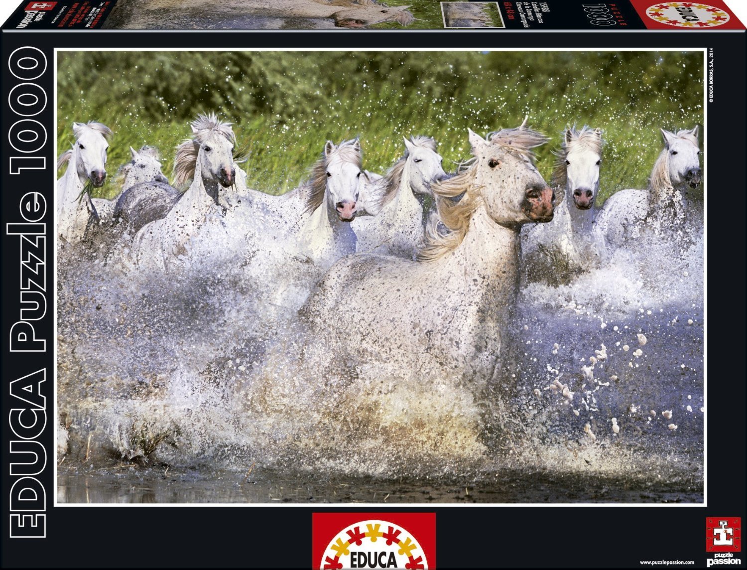 educa-15988-weisse-pferde-camargue-puzzle-1000-teile image 1