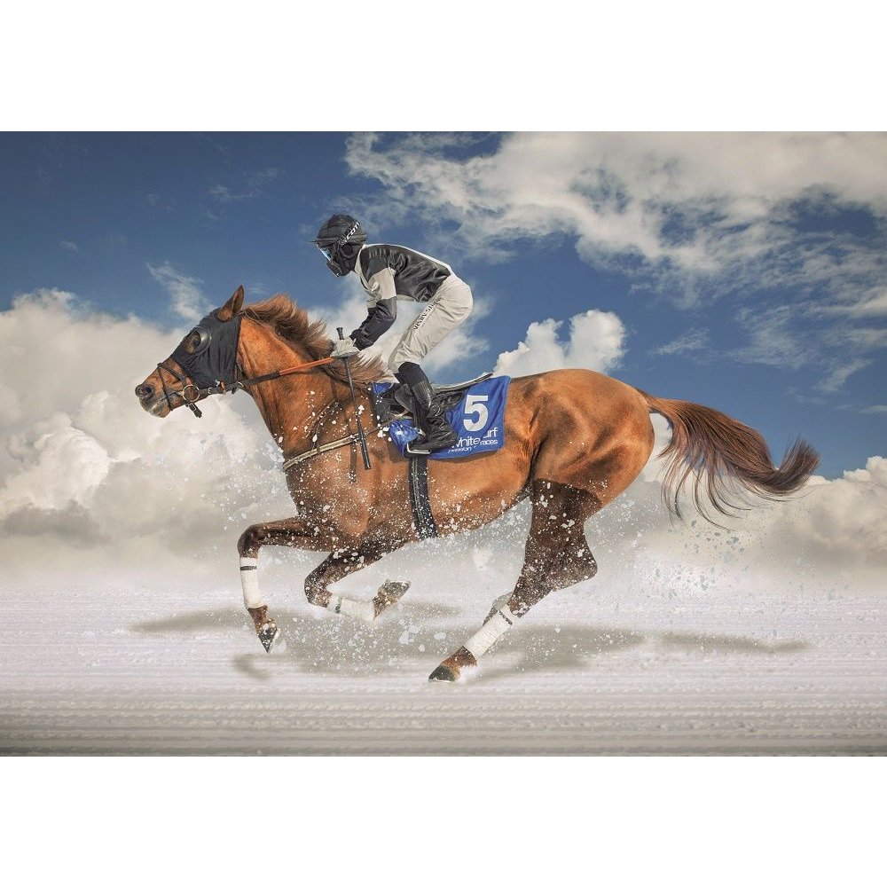 educa-16307-white-turf-puzzle-1500-teile-pferderennen image 2