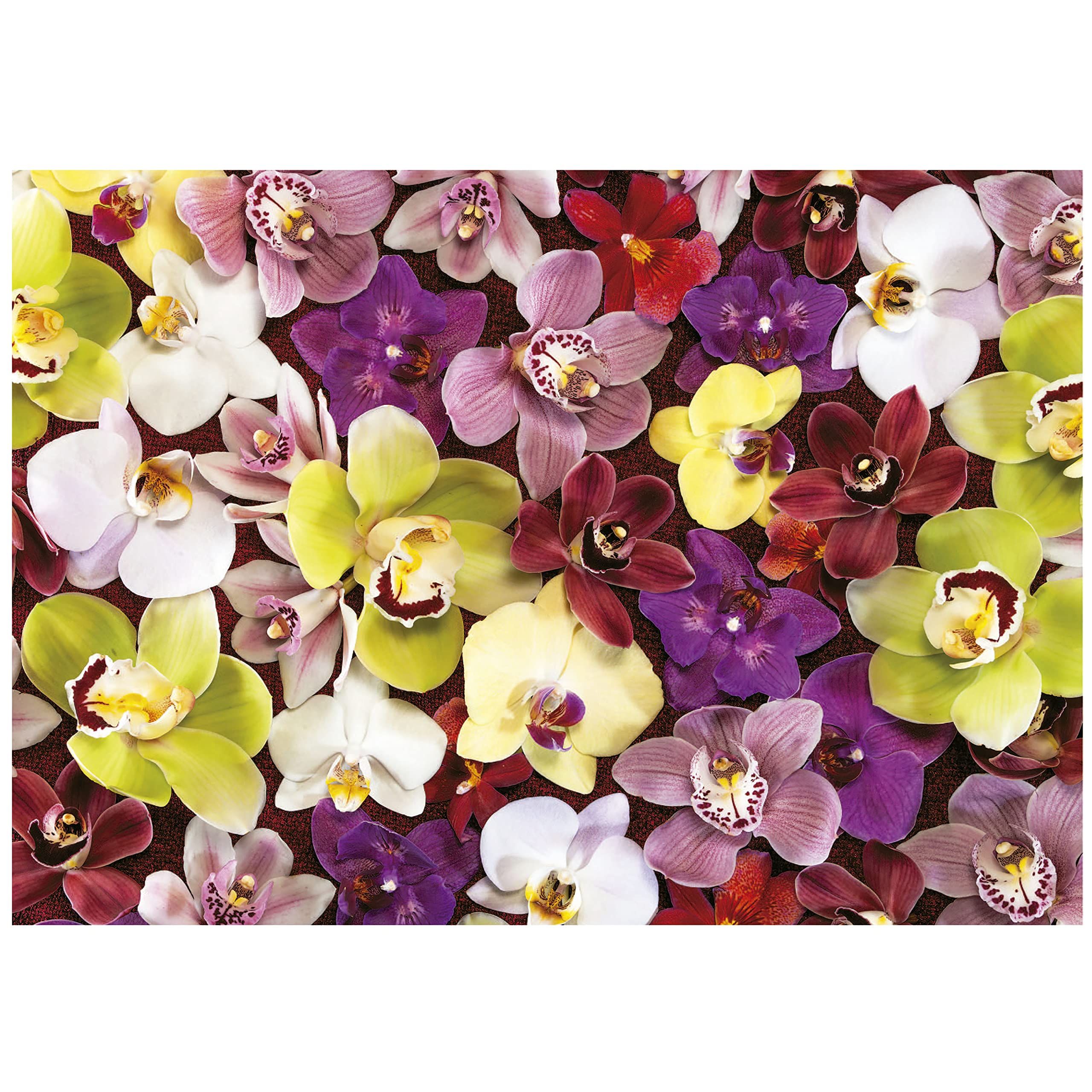 educa-orchideen-collage-puzzle-1000-teile-ab-14-jahren image 2