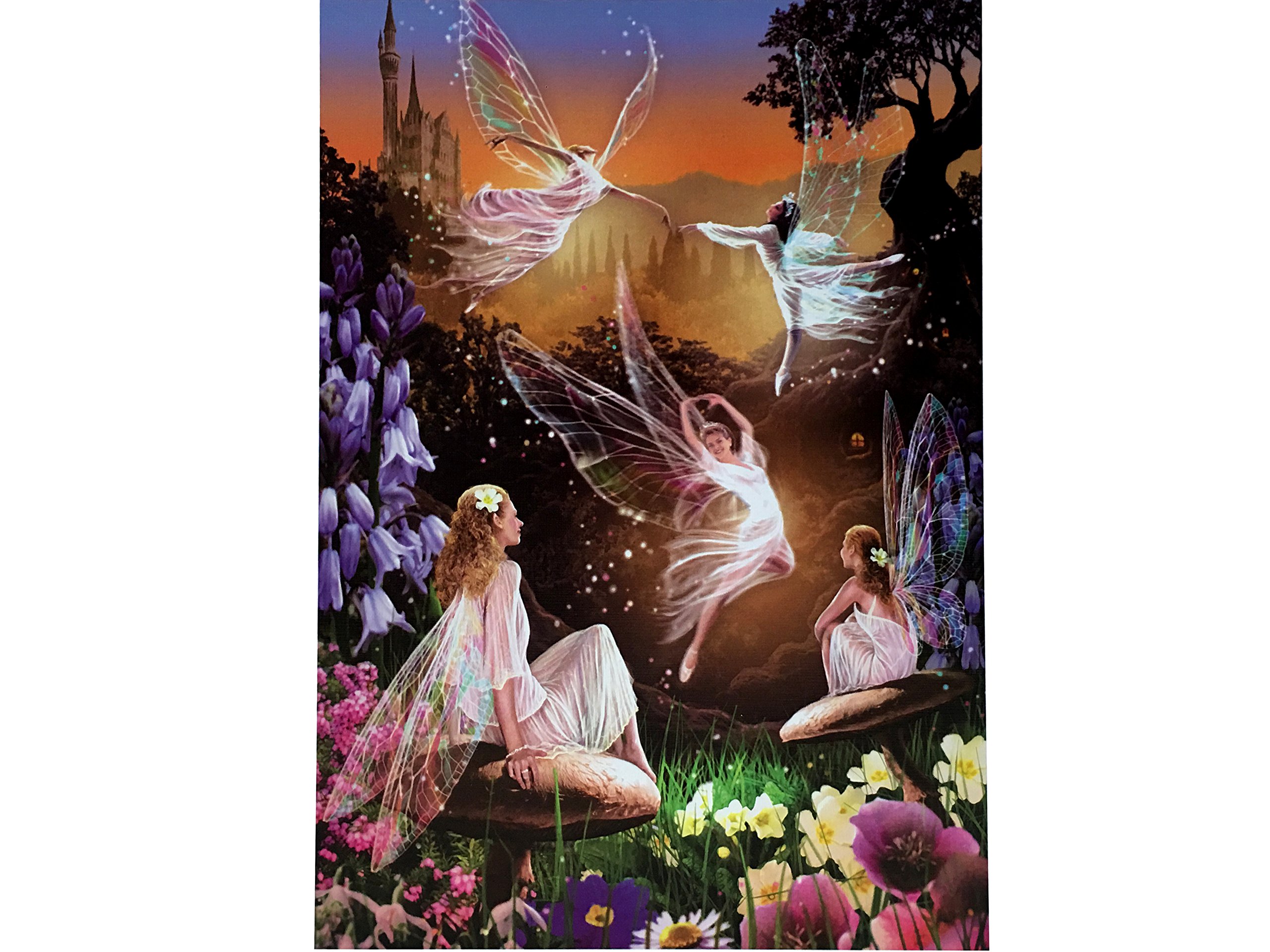educa-das-feenballett-puzzle-500-teile-fairy-ballet image 2