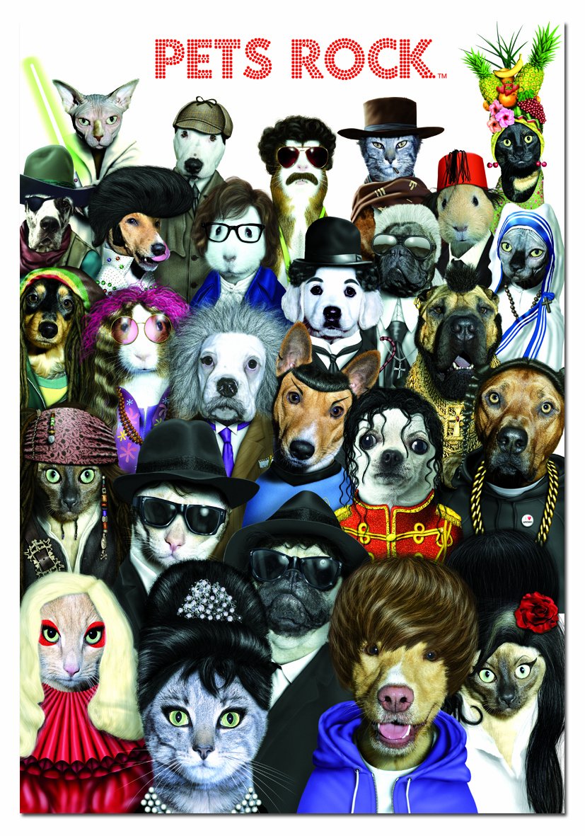 educa-15155-pets-rock-1000-teile-puzzle-68x48-cm-mit-kleber image 3