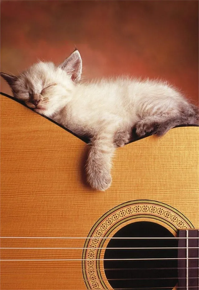 educa-15510-meine-gitarre-puzzle-500-teile-mit-gitarren-motiv image 1