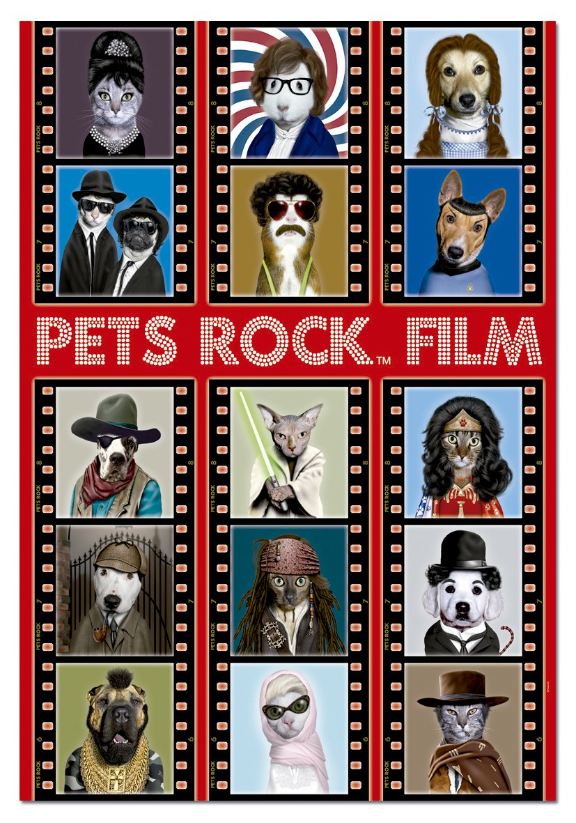 educa-15553-pets-rock-film-puzzle-500-teile-tiere image 2