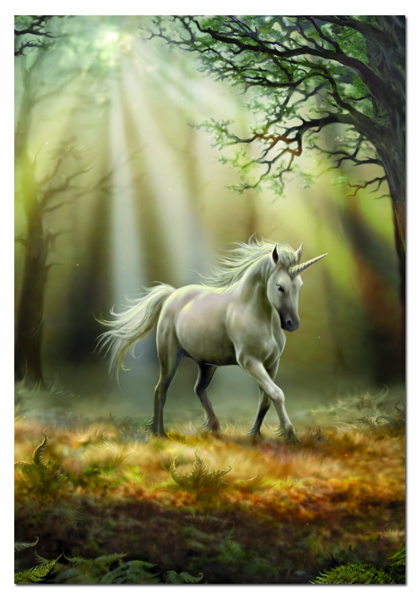 educa-einhorn-14436-1000-teile-puzzle-anne-stokes image 2