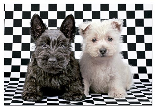 educa-15508-karierte-terrier-puzzle-500-teile-48x34-cm image 4