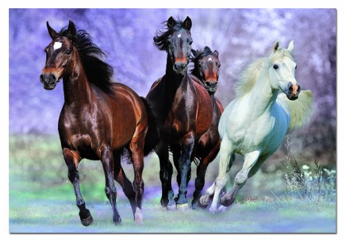educa-14809-im-vollen-galopp-1000-teile-puzzle-pferde image 4