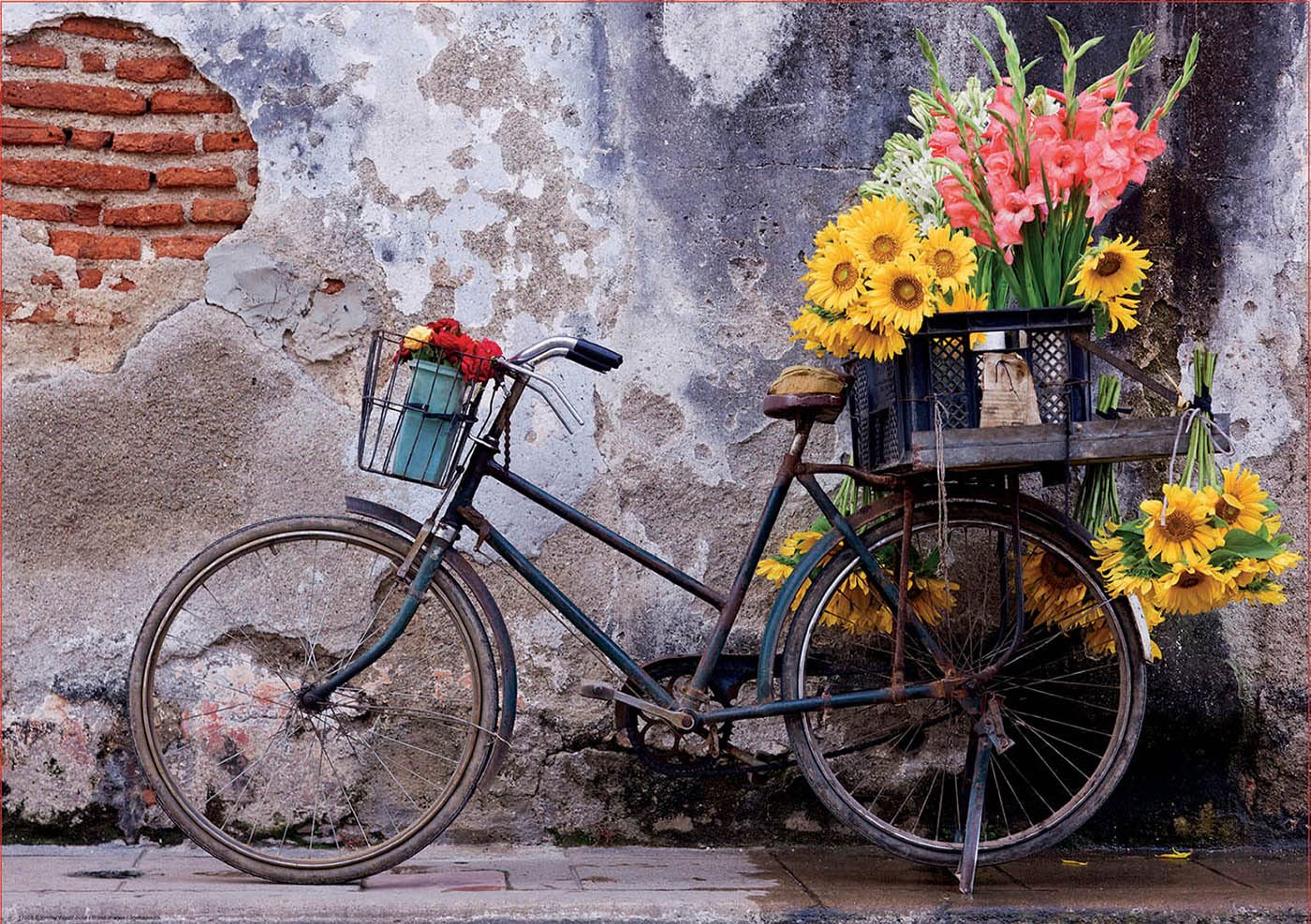 educa-fahrrad-mit-blumen-17988-puzzle-500-teile-ab-11-jahren image 2