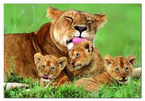 educa-l-win-mit-jungen-puzzle-500-teile-14111-tiere image 2