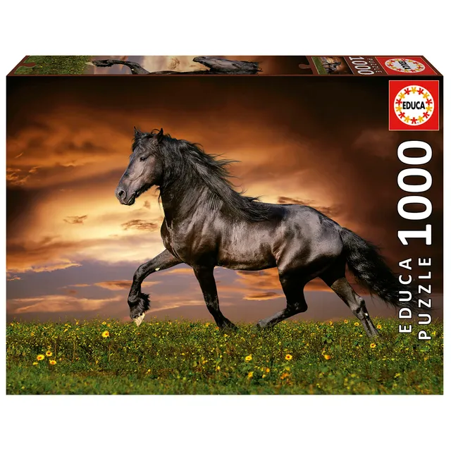 educa-friese-in-der-d-mmerung-19555-puzzle-1000-t-pferd image 1