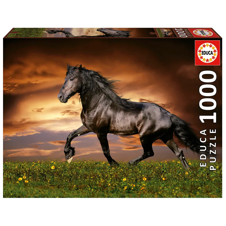 educa-friese-in-der-d-mmerung-19555-puzzle-1000-t-pferd image 1