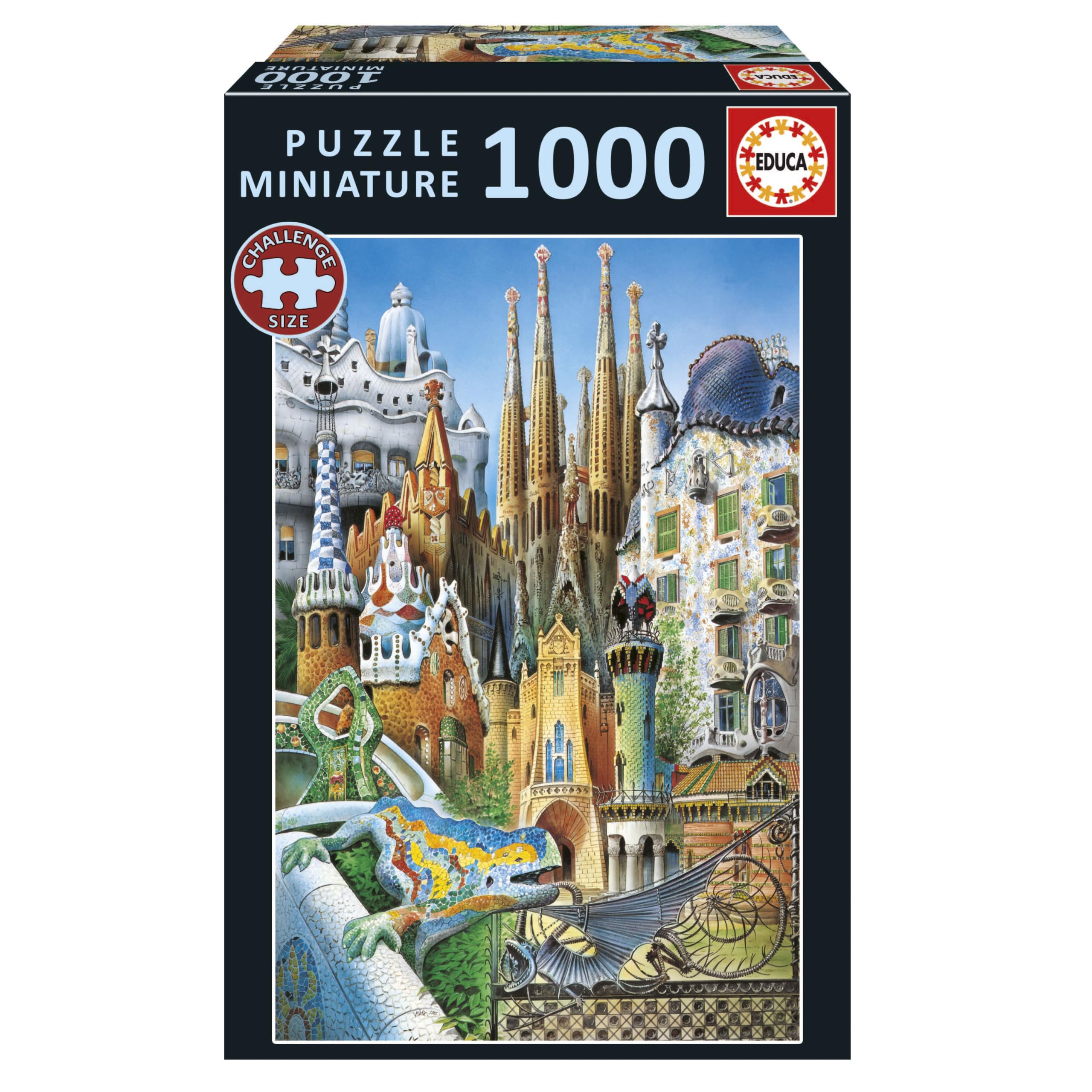 educa-20248-symbole-europas-mini-puzzle-1000-teile-30x46-cm image 8