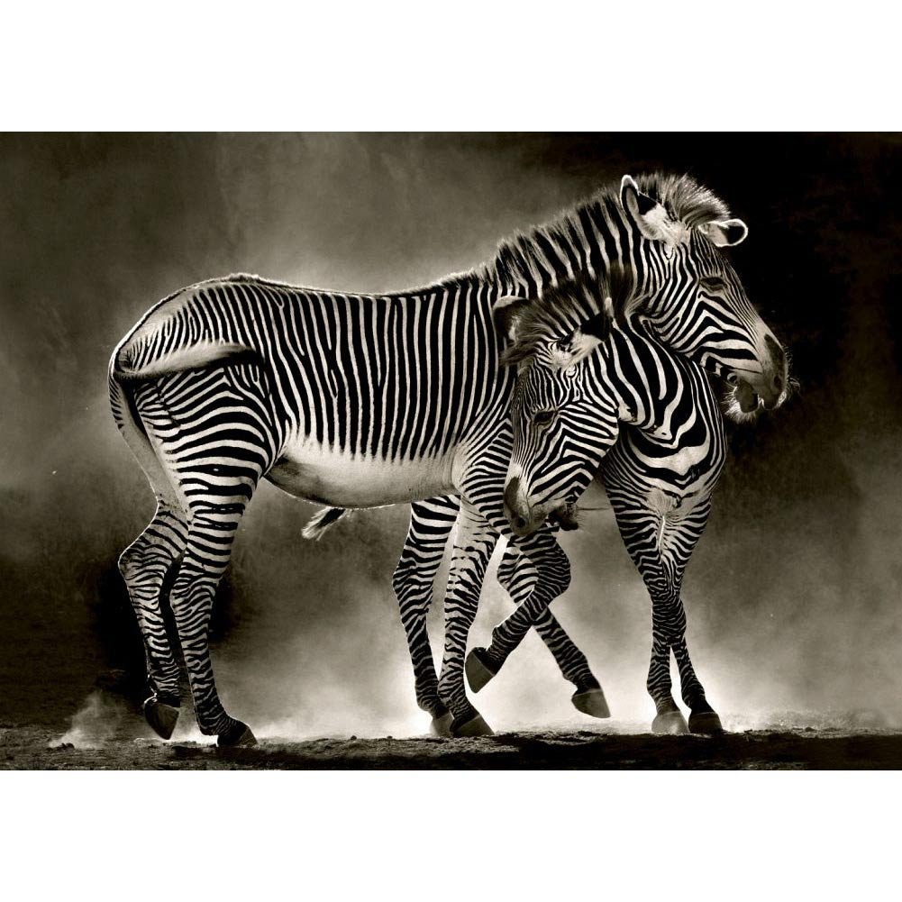 educa-16359-zebras-puzzle-500-teile-tiermotiv image 2
