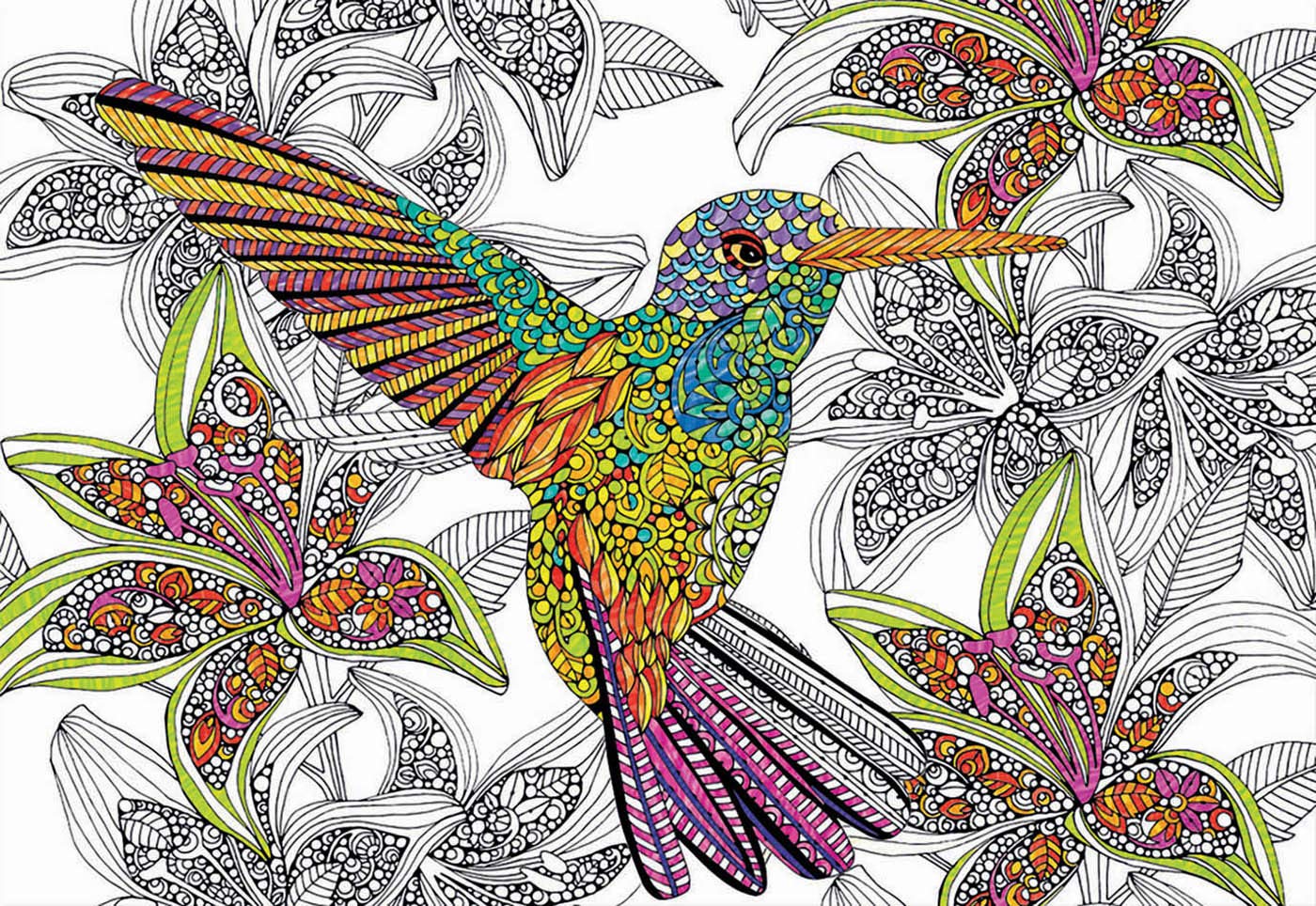 educa-17083-hummingbird-colouring-puzzle-300-teile image 2