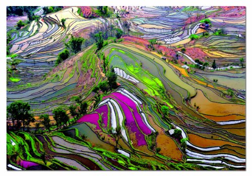educa-15156-reisfelder-china-puzzle-1000-teile-landschaft image 2
