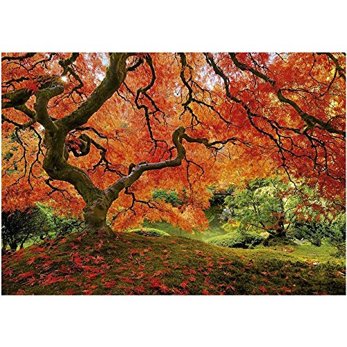 educa-16310-japanischer-garten-puzzle-1500-teile-zen image 4