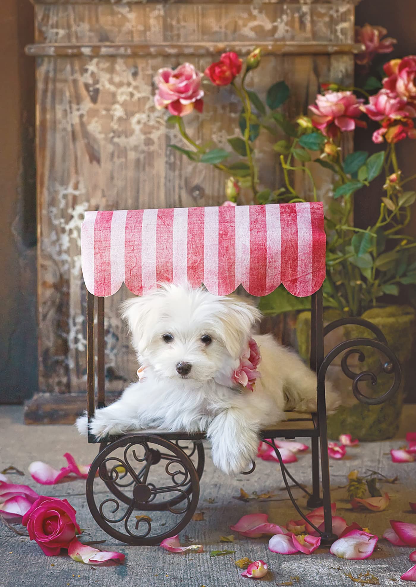 educa-16272-be-my-valentine-puzzle-500-teile-lisa-jane image 2