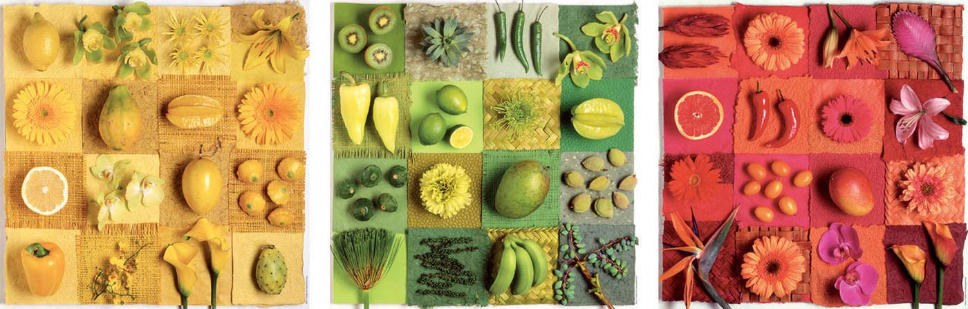 educa-fr-chte-und-blumen-3x500-teile-puzzle-set-ab-10-jahren image 2